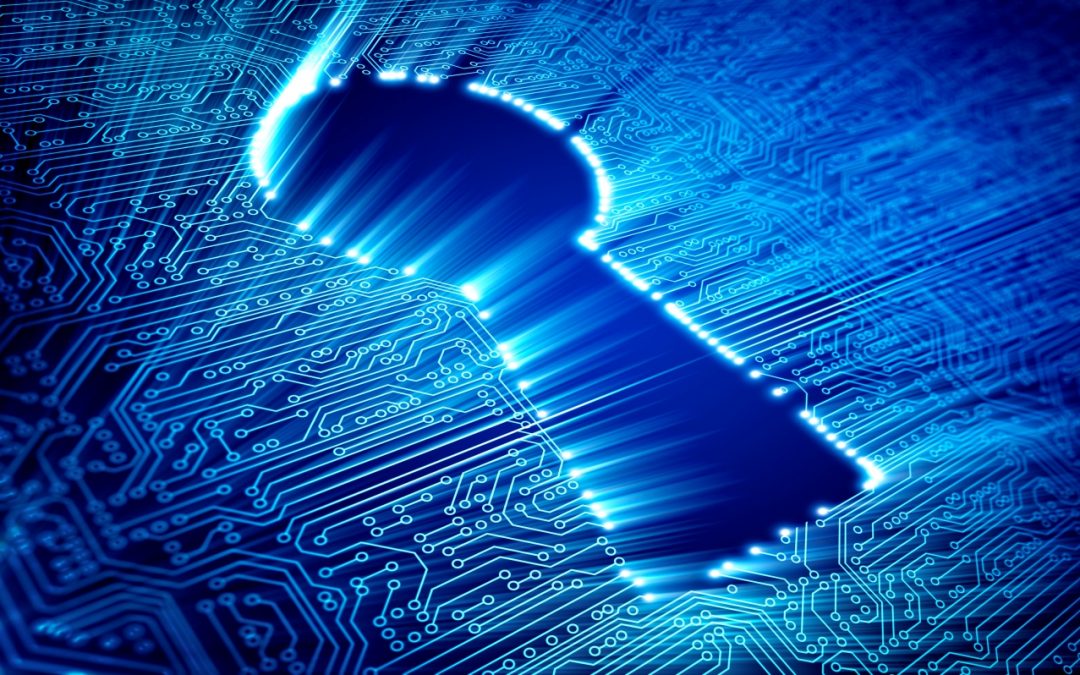 Cybersecurity: L’Unione europea lancia un’indagine tra le aziende